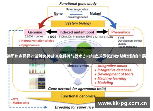 德甲焦点强强对话胜负关键深度解析与战术走向前瞻球员状态教练博弈影响全局